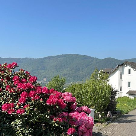 Ferienwohnung Rhein-Panorama 兰施泰因 外观 照片