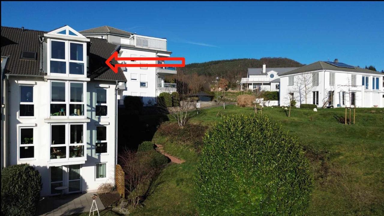 Ferienwohnung Rhein-Panorama 兰施泰因 外观 照片