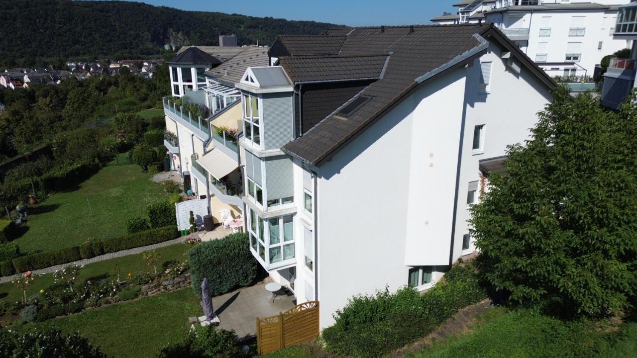 Ferienwohnung Rhein-Panorama 兰施泰因 外观 照片