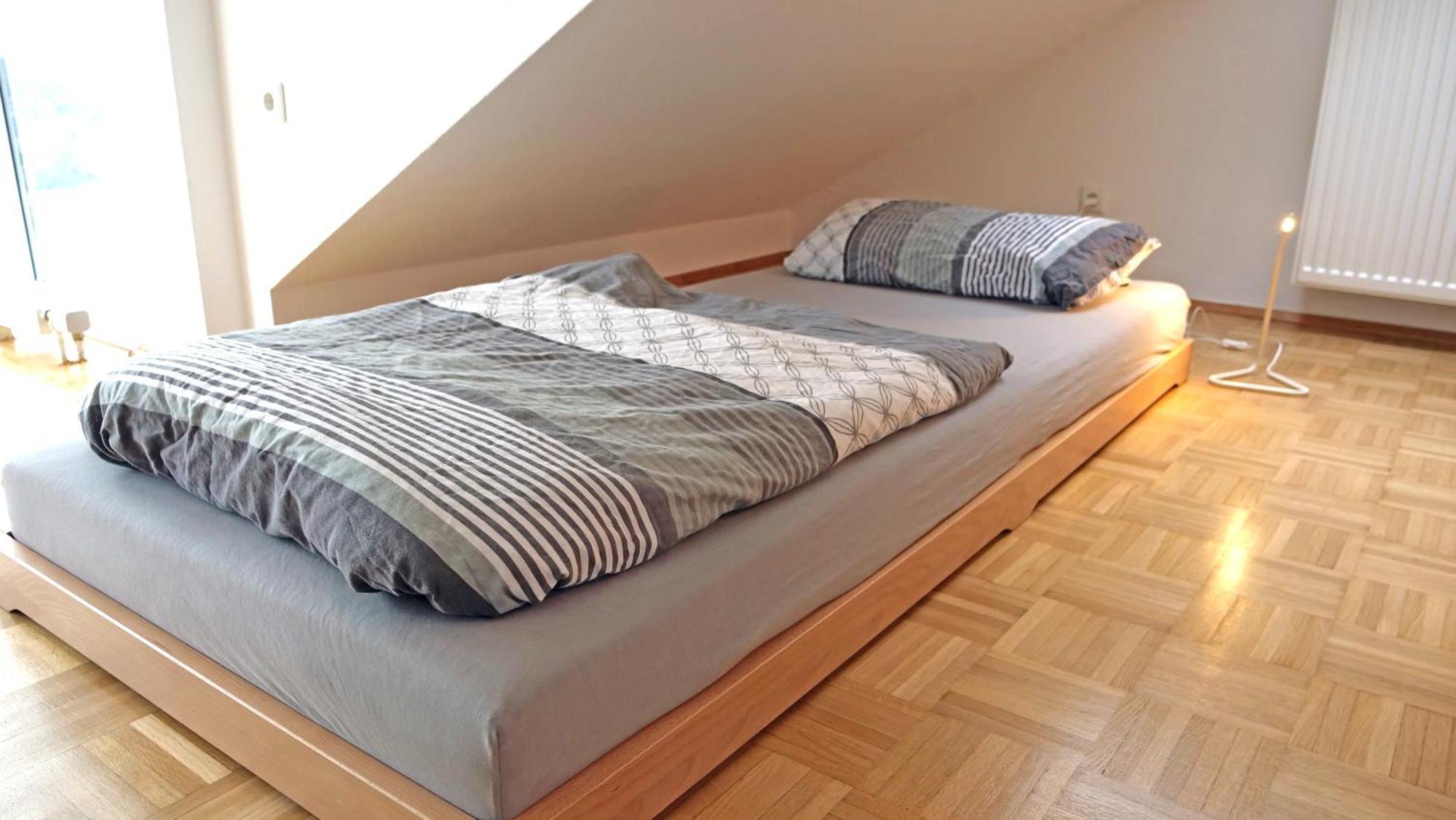 Ferienwohnung Rhein-Panorama 兰施泰因 外观 照片
