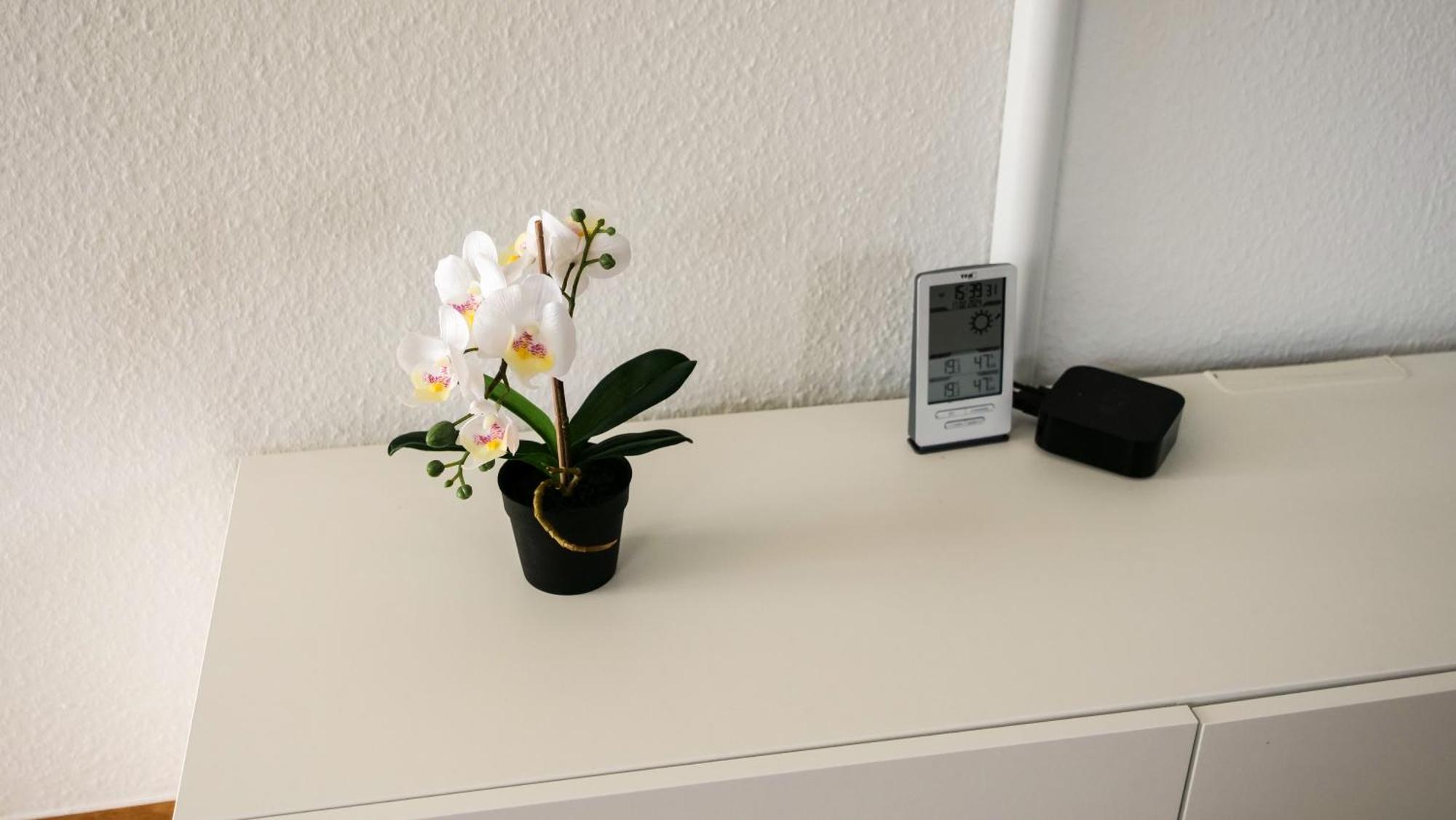 Ferienwohnung Rhein-Panorama 兰施泰因 外观 照片