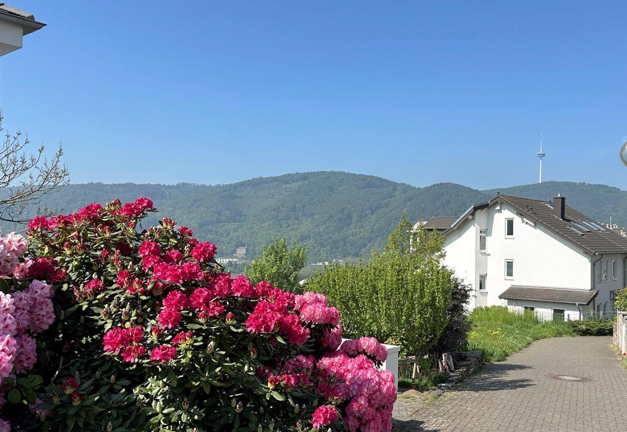 Ferienwohnung Rhein-Panorama 兰施泰因 外观 照片