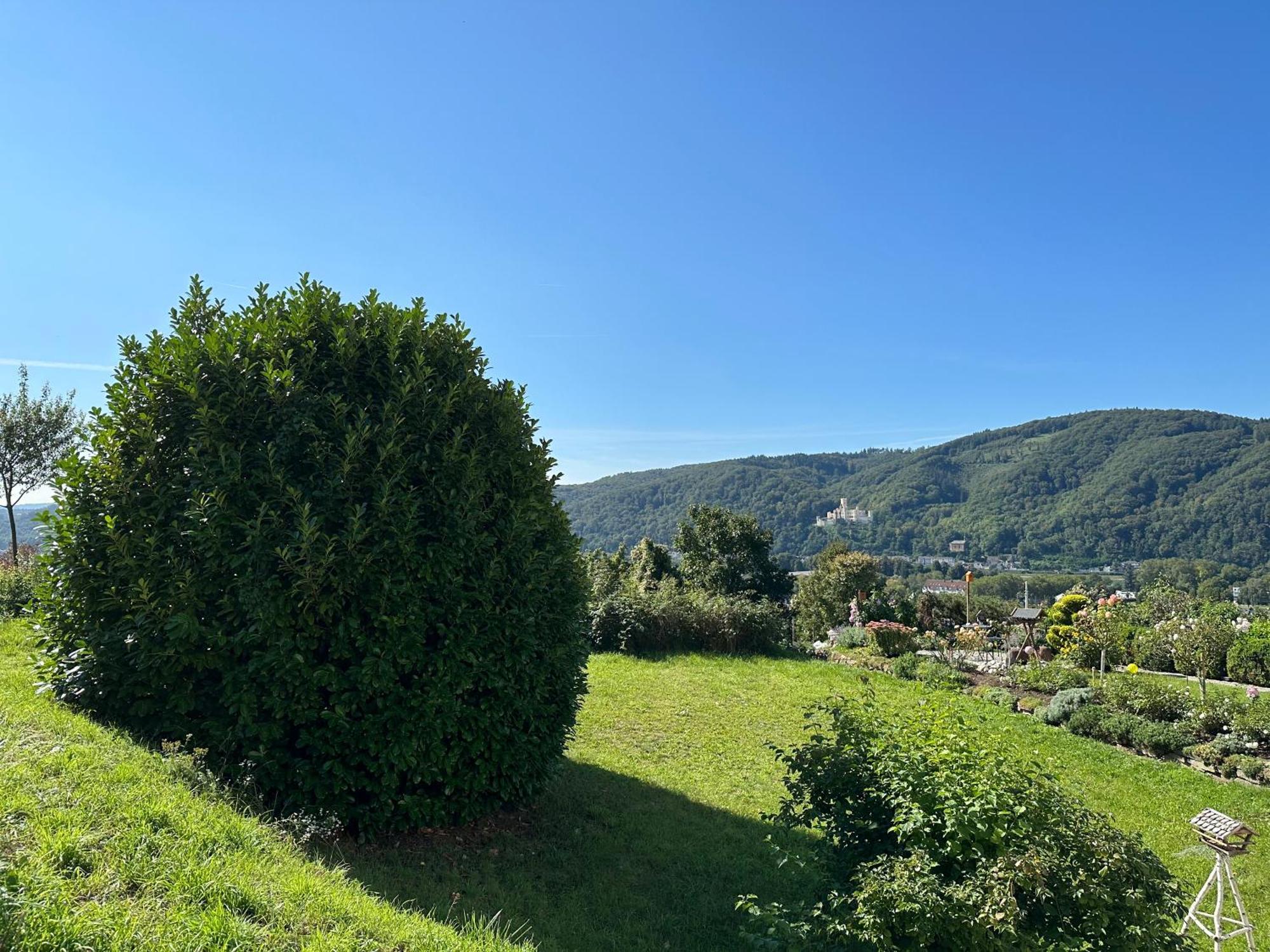 Ferienwohnung Rhein-Panorama 兰施泰因 外观 照片
